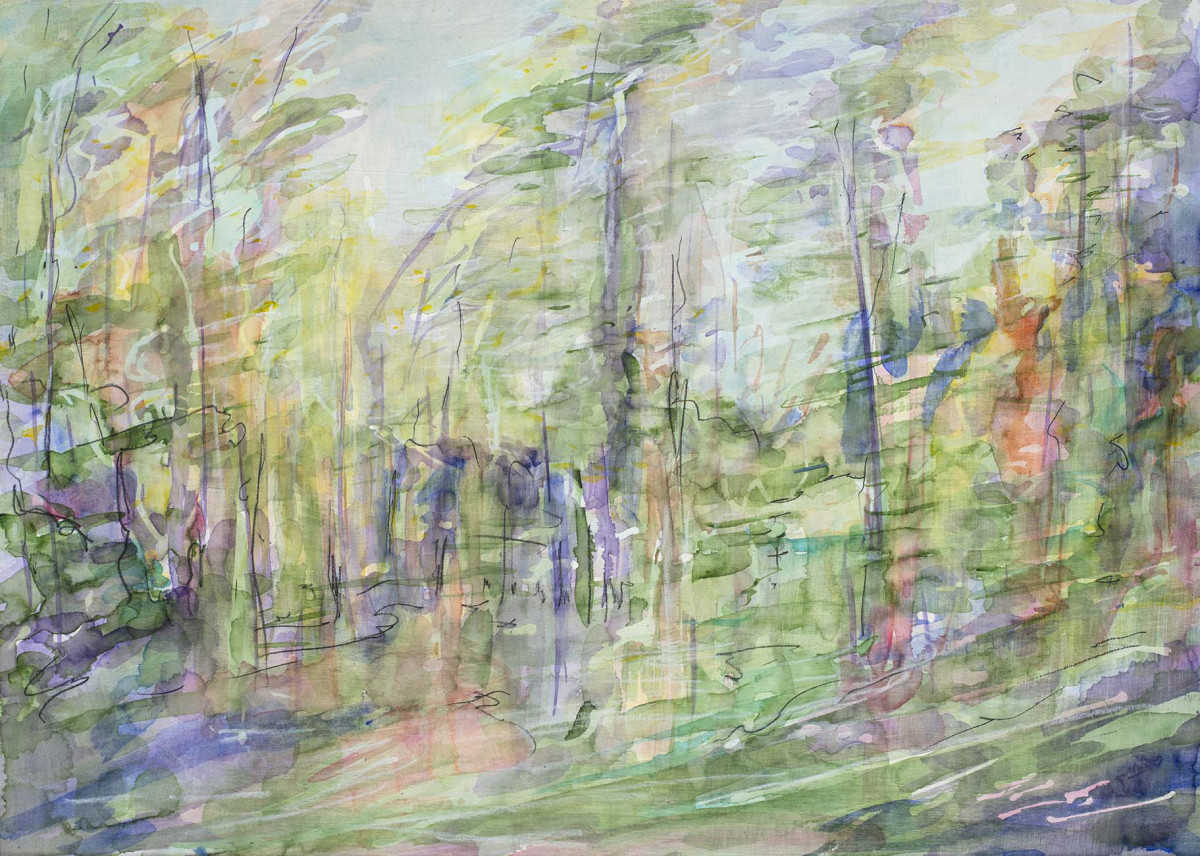 Victorian bushland by Amanda van Gils 