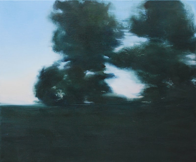 View from a speeding train 1 Barcelona to Nice by Amanda van Gils 