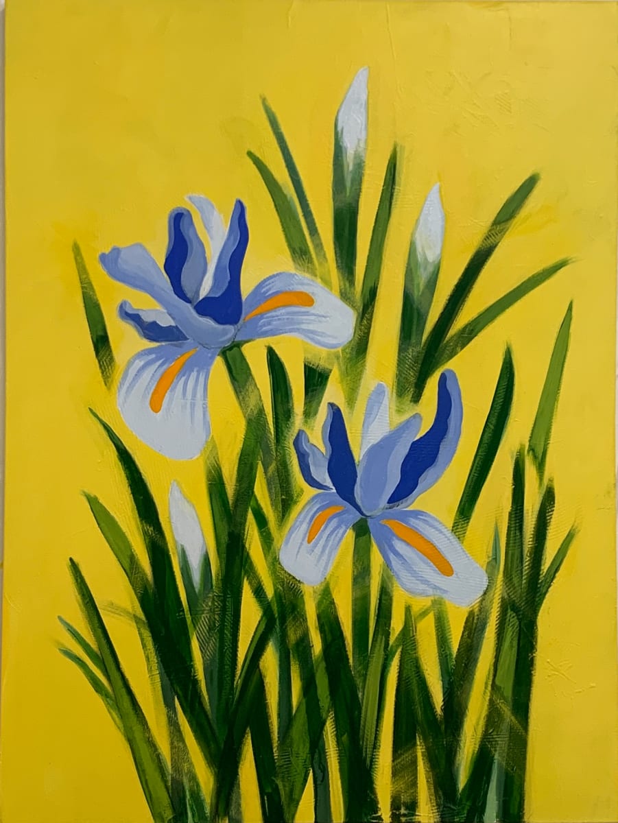 Iris Blooms by Ann Flemings | FlemingsArt.com 