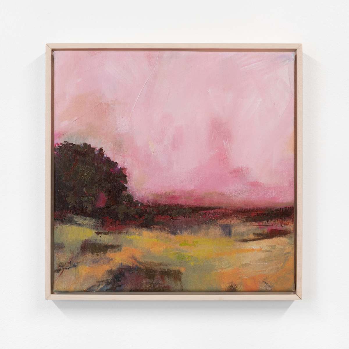 Pink Sky Delight by Ann Flemings | FlemingsArt.com 
