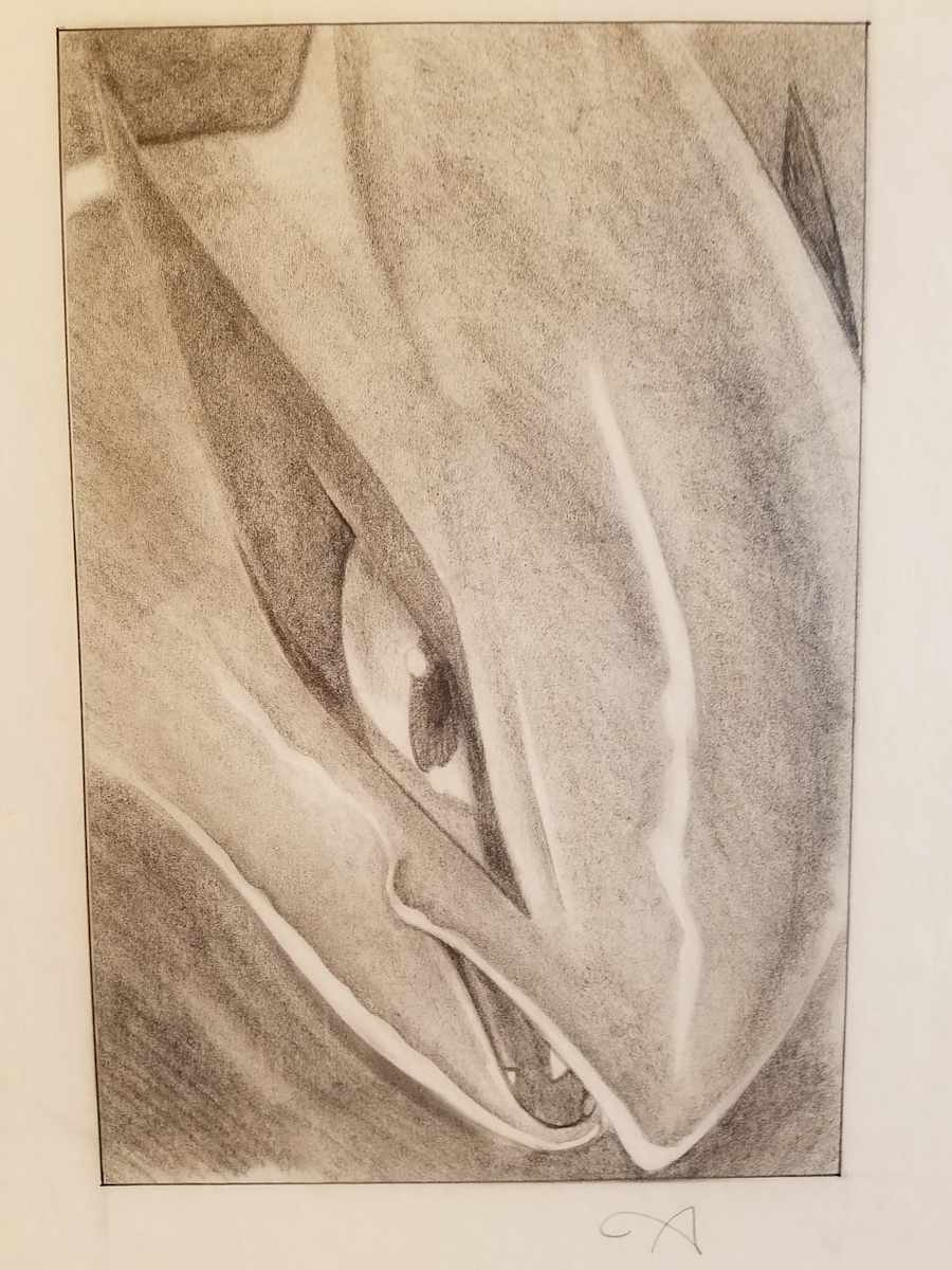 Pokemon The Movie 2000 Poster Concept, Lugia Close Up by John Alvin, Image 1.