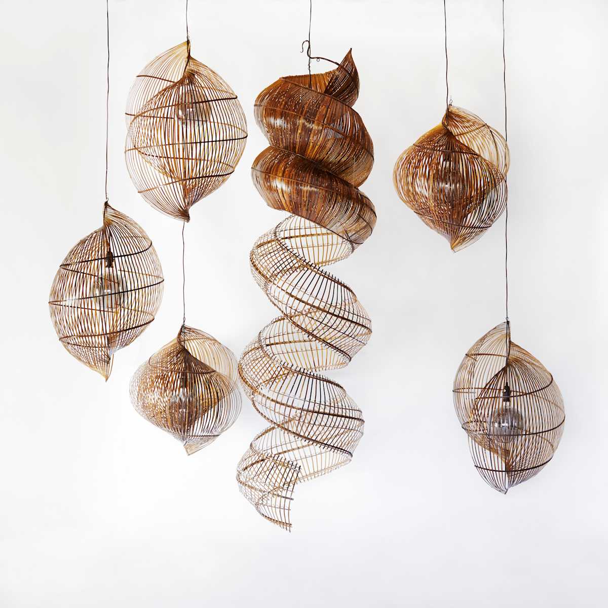 Cloud of Shells Project, Tennessee by Charissa, Image 1.