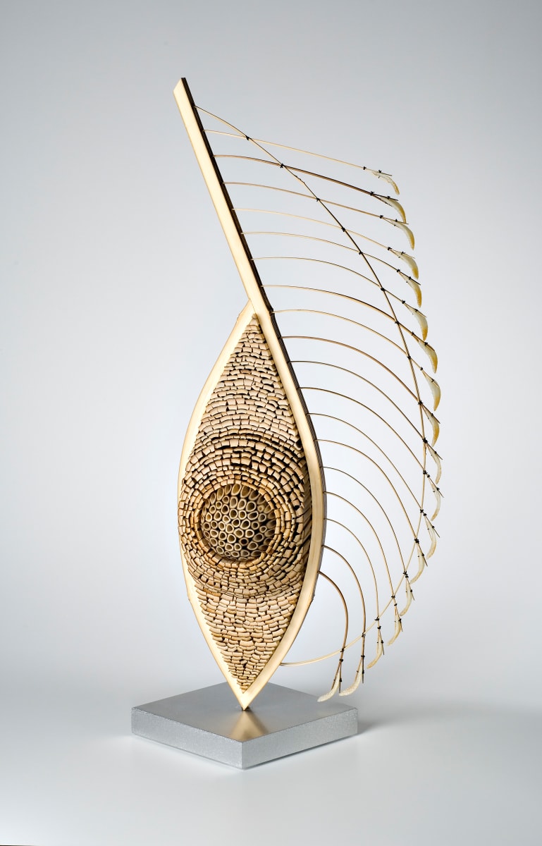 Featherback by Charissa, Image 3.