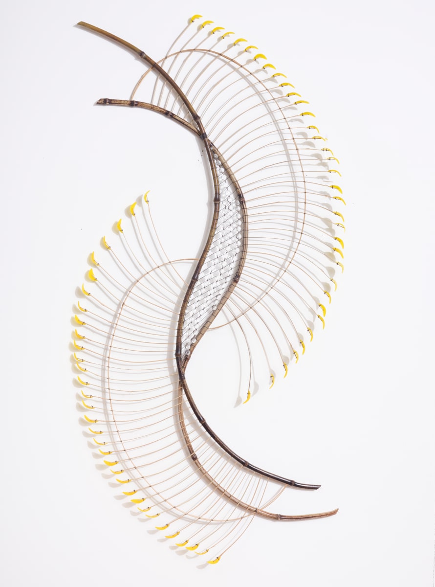 Flavo Undam by Charissa 