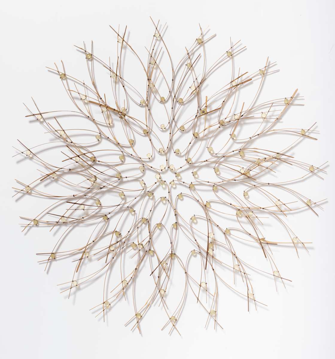 Pale Yellow Bloom by Charissa 