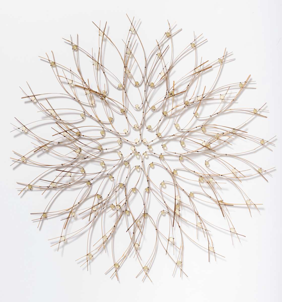 Pale Yellow Bloom by Charissa, Image 2.