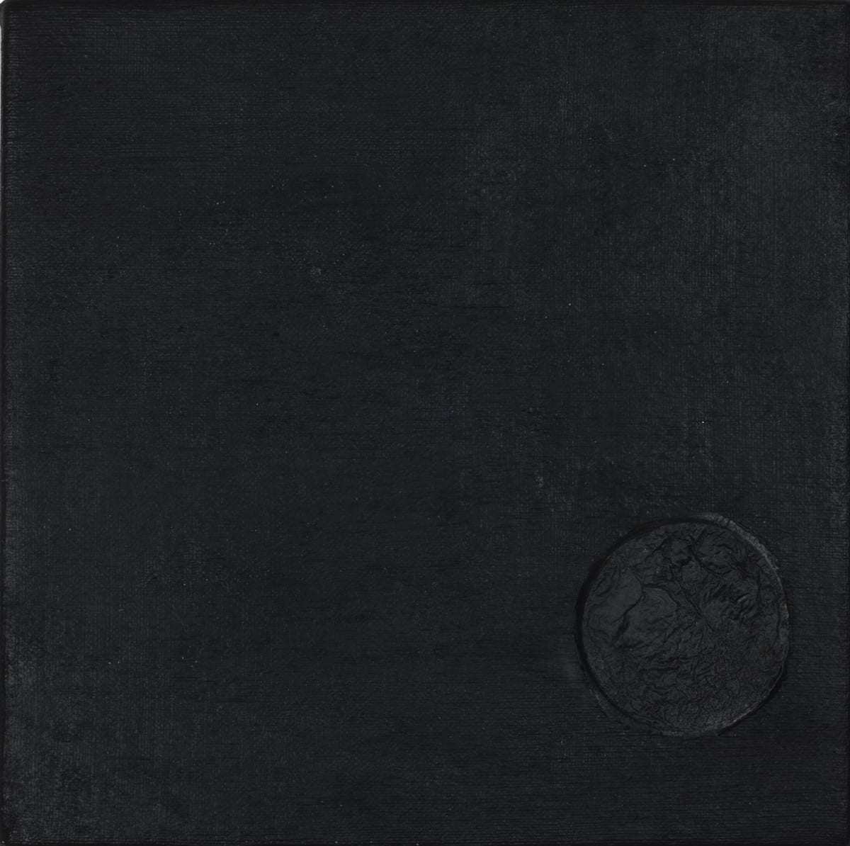 Exaptation.04 by Sarah J. Hull 