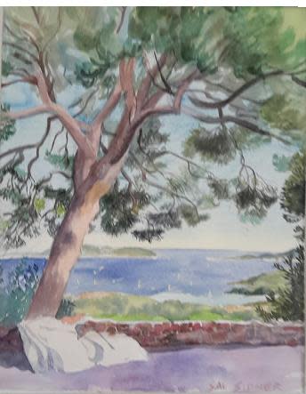 UMBRELLA PINE by SAL SIDNER 