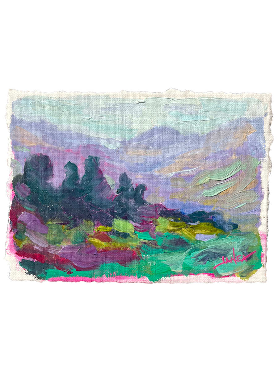 Petroia In Mist by Janea Spillers 