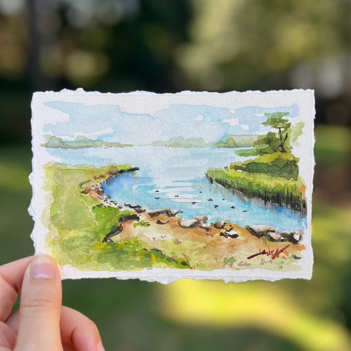 Ireland Isle by Janea Spillers 