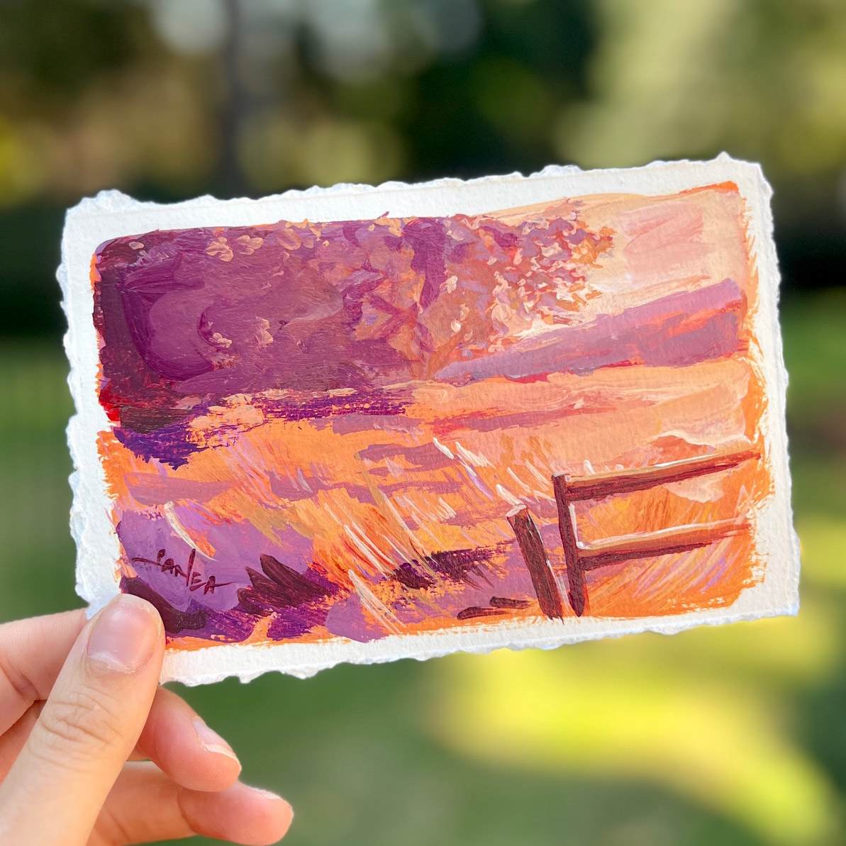 Hazy Fields by Janea Spillers 