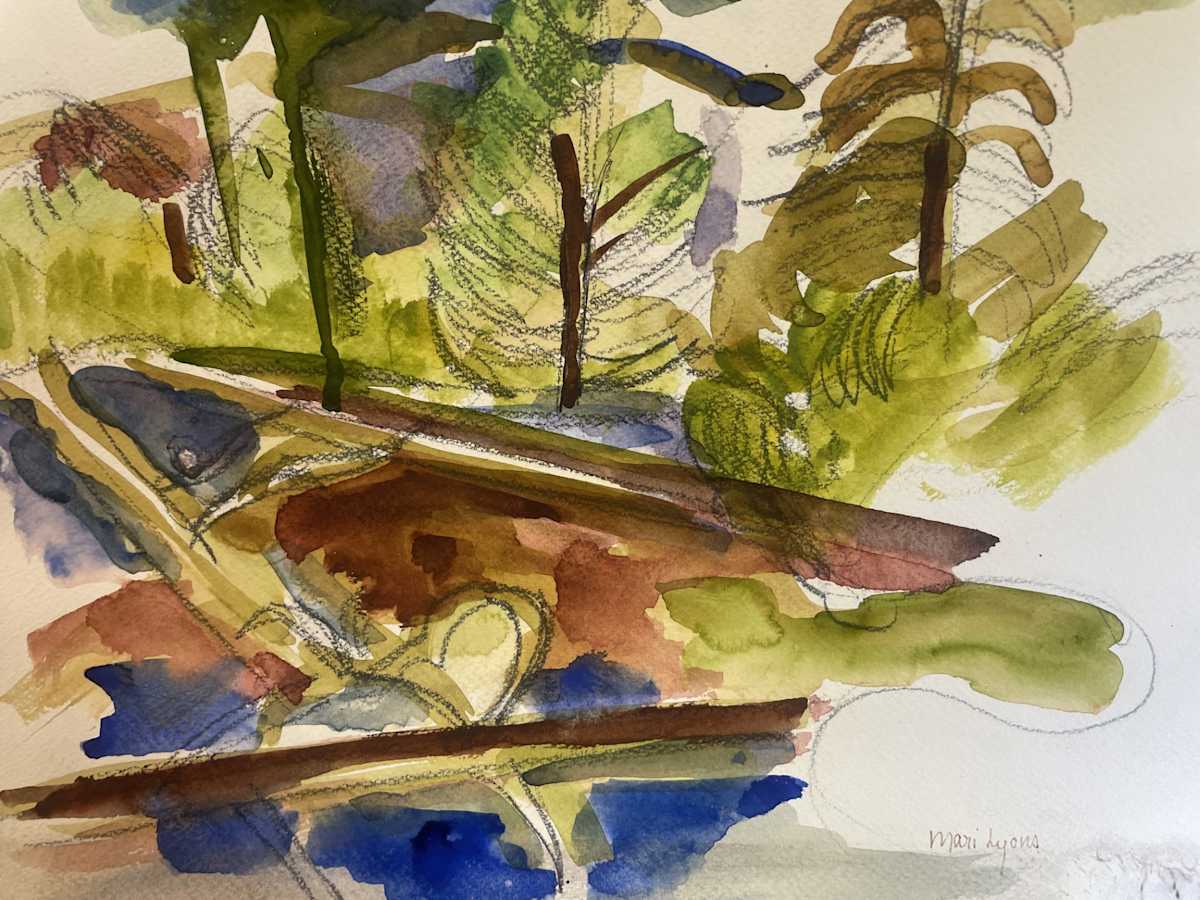 Fallen Trees in Creek by Mari Lyons, Image 1.