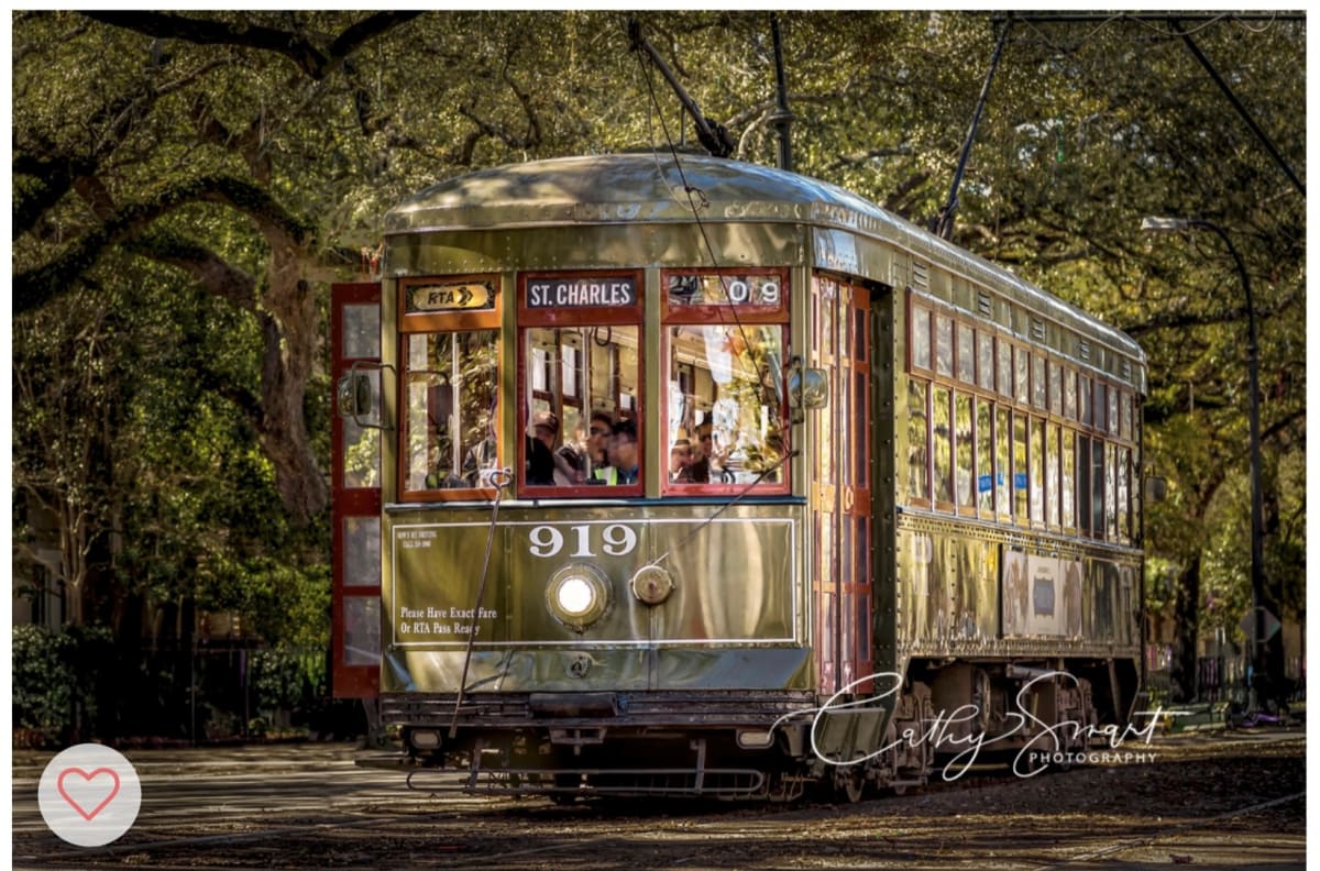 (25) St. Charles Streetcar 919 by Cathy Smart, Image 1.
