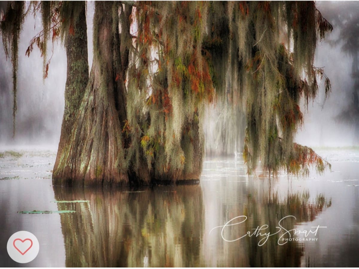 (36) Colors of the Bayou by Cathy Smart 