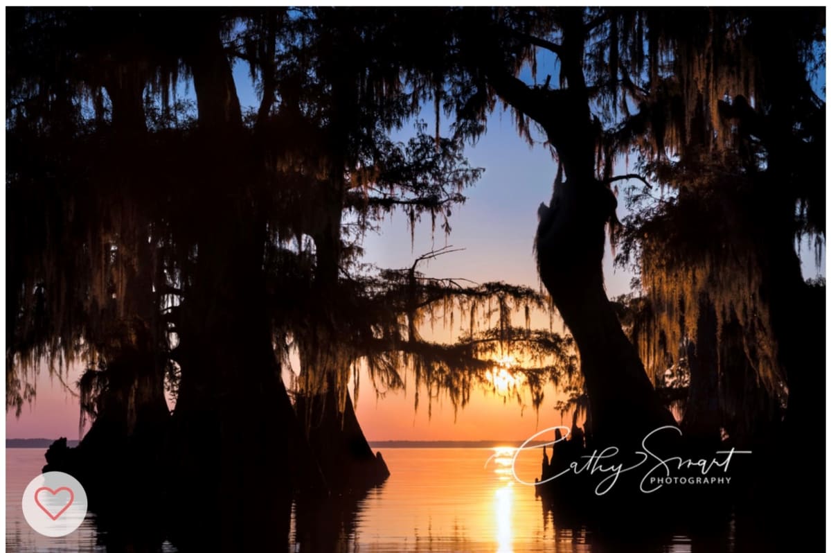 (39) A Louisiana Sunset by Cathy Smart 