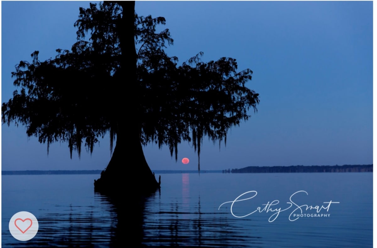(31) Louisiana Moonrise by Cathy Smart 
