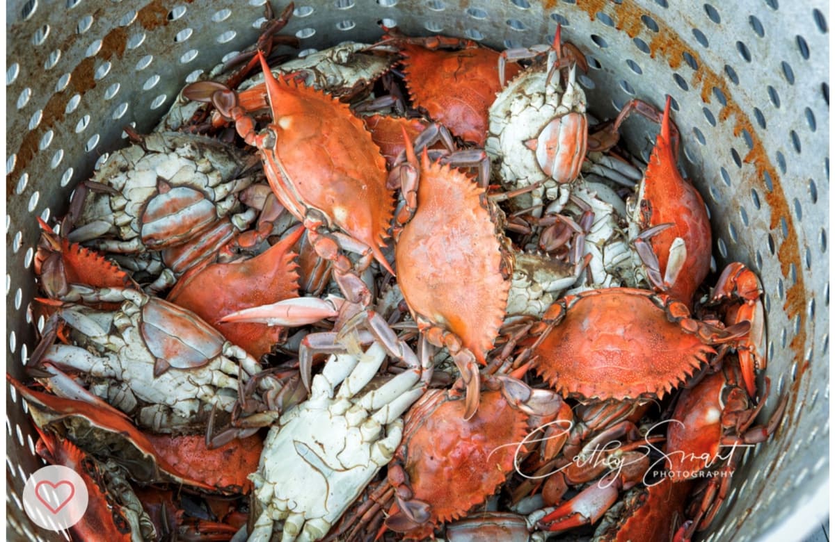 (44) Crabs by Cathy Smart, Image 1.