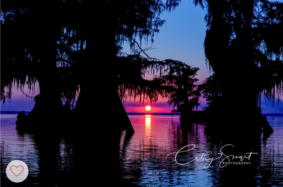 (48) Sunset on Lake Fausse Pointe by Cathy Smart 