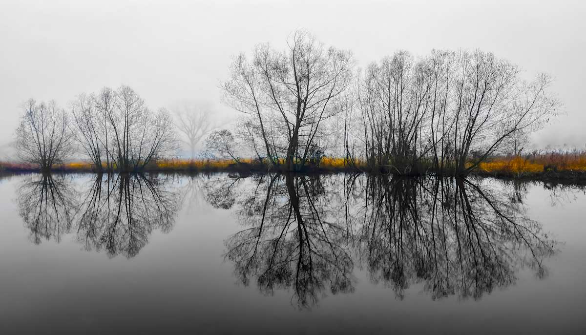 Autumn’s Reflection by David M. Kors 