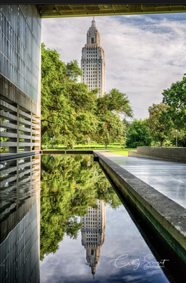 Capitol Reflection by Cathy Smart 