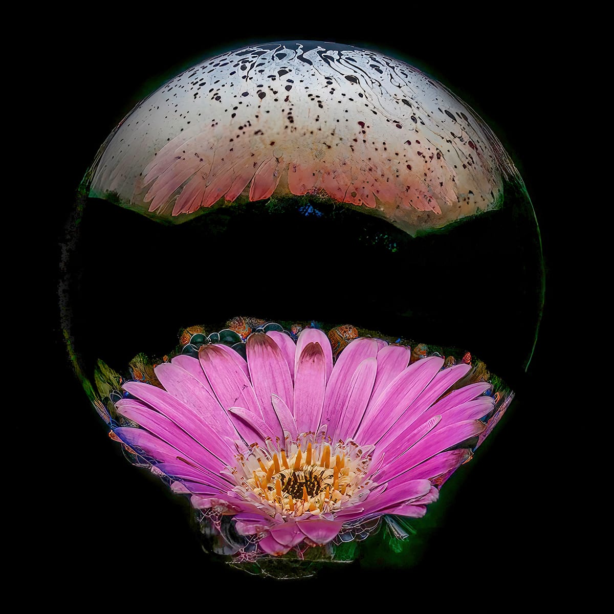 Flowering Bubble by David M. Kors 