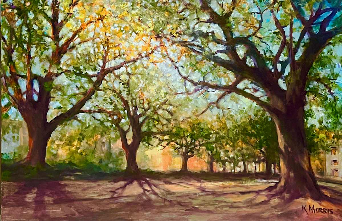 North Boulevard by Keith Morris, Image 1.
