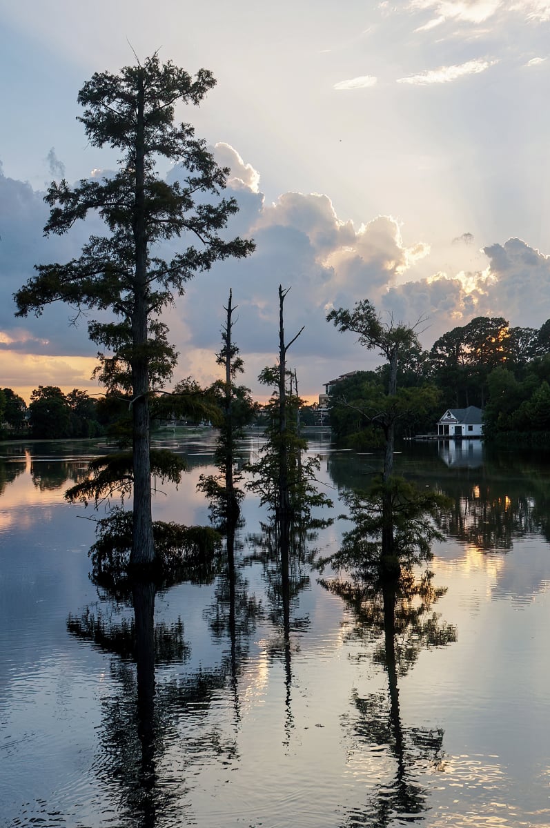 Sleepy Bayou Reflections by KC Kuhnert 