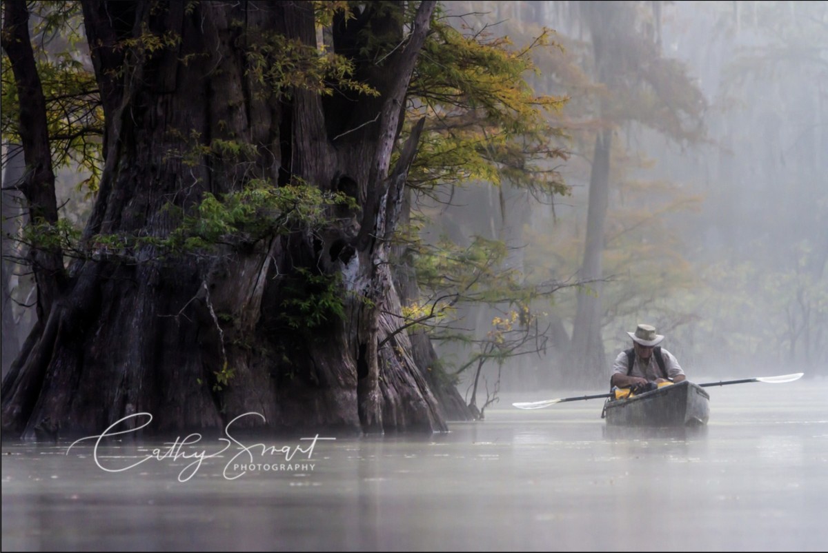 Peaceful Morning in the Bayou by Cathy Smart, Image 1.