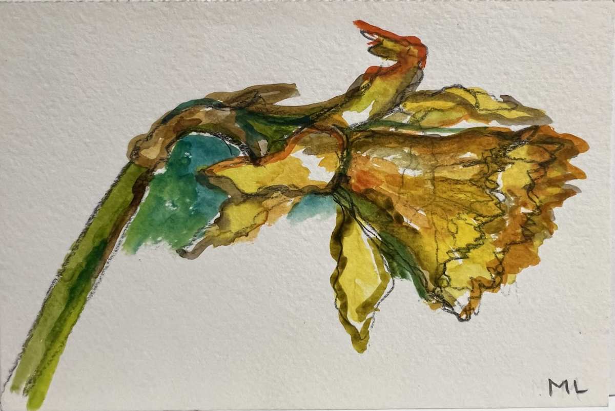 Daffodil Study I by Mari Lyons, Image 1.