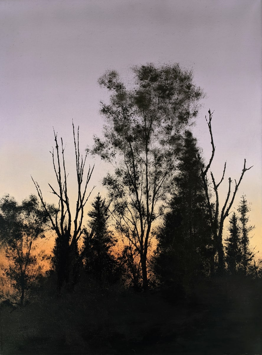 Silhouette against Twilight by Abdul Khaliq Ansari 