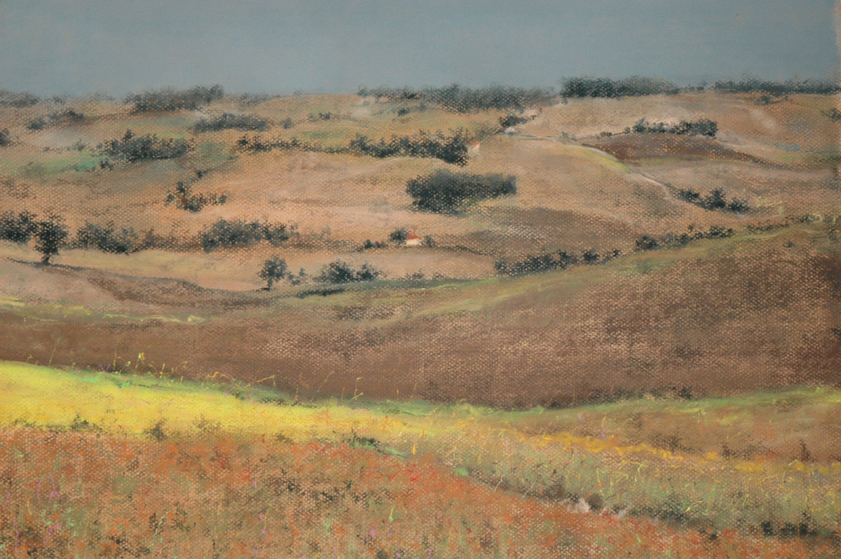 Millet Fields by Abdul Khaliq Ansari 