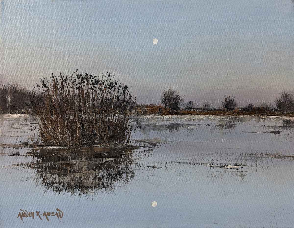 Icy Pond by Abdul Khaliq Ansari 