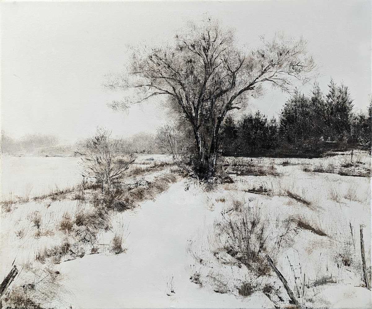 Snowy Creek by Abdul Khaliq Ansari 