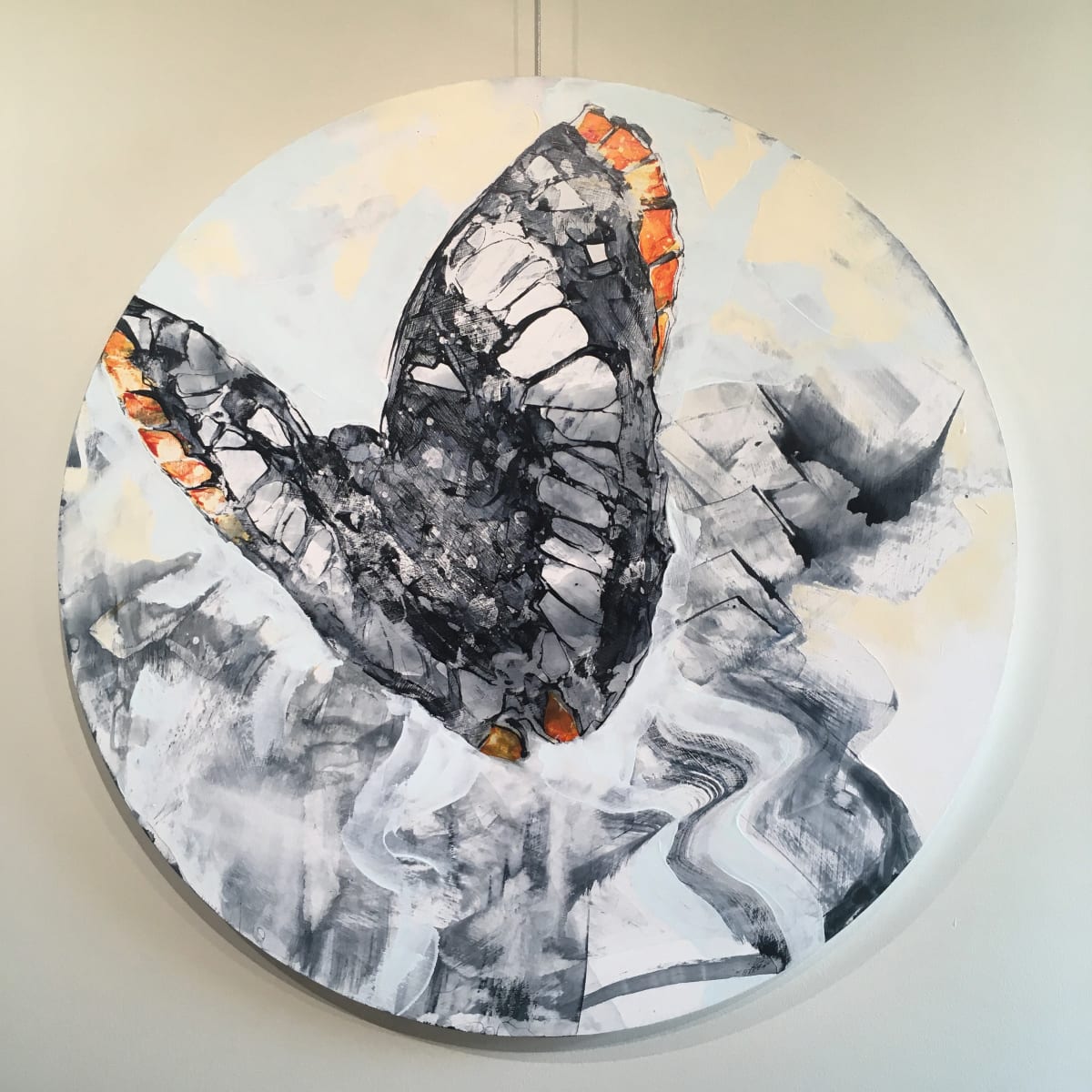 Hope takes flight, Image 6.