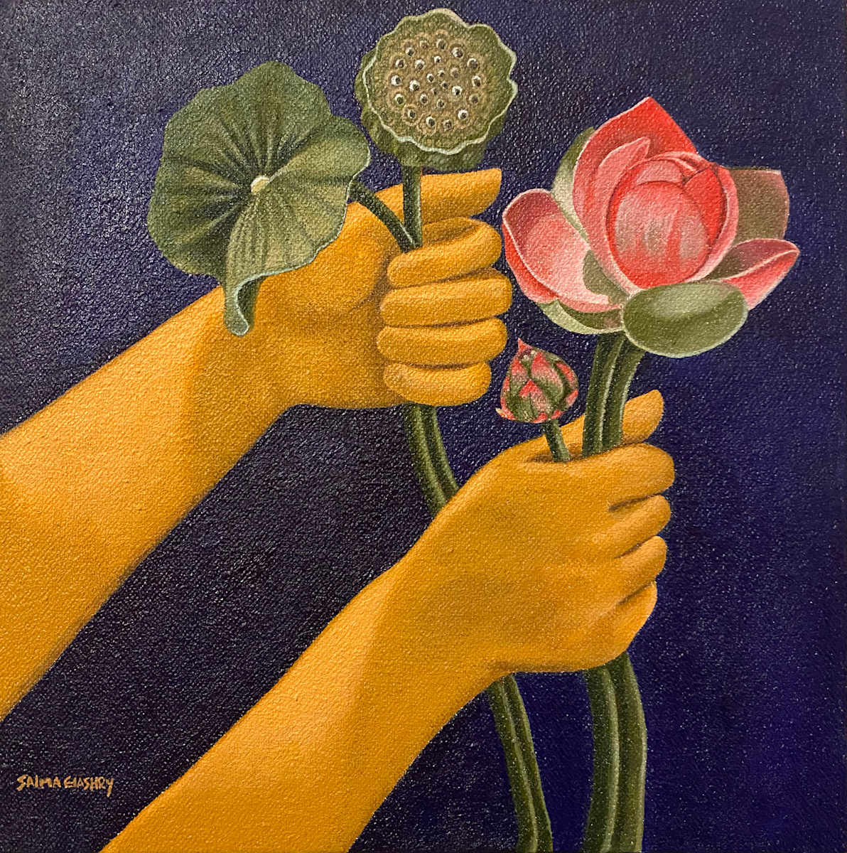 Untitled 1 by Salma Elashry 