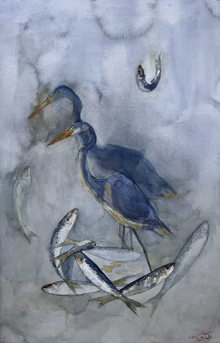 The Little Flying Fish by Eman Tark, Image 1.