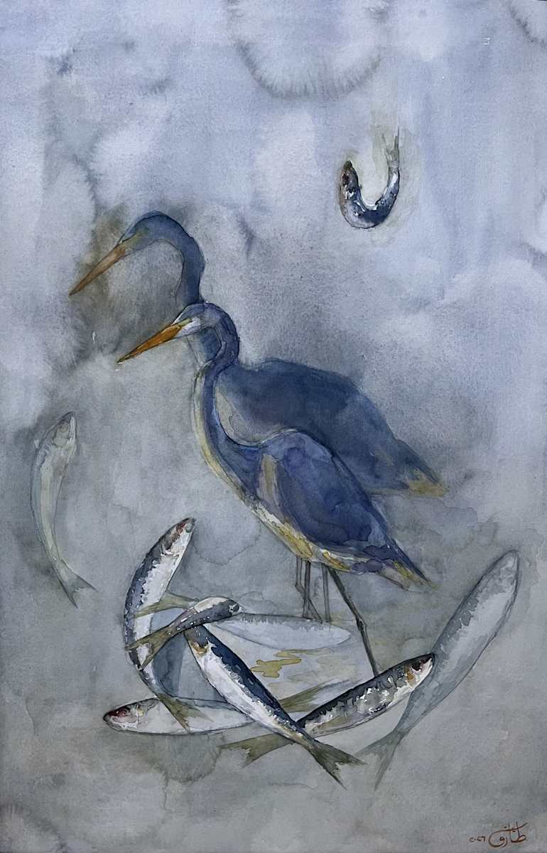 The Little Flying Fish by Eman Tark, Image 1.