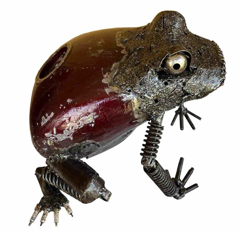 Frog by Ammar Shiha 