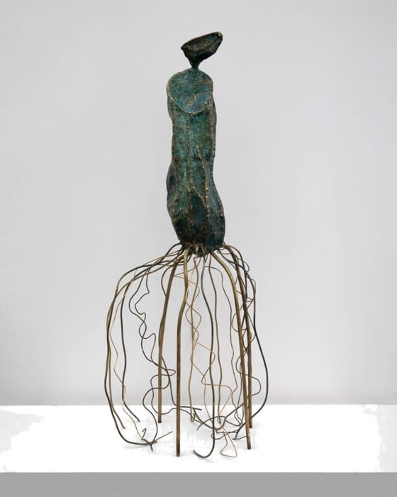 Pitcher Plant by Shams Bassem, Image 10.
