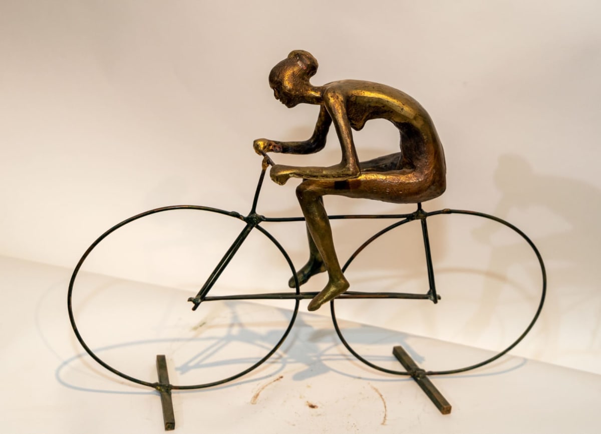 The Bicycle by Neven Nathan, Image 20.