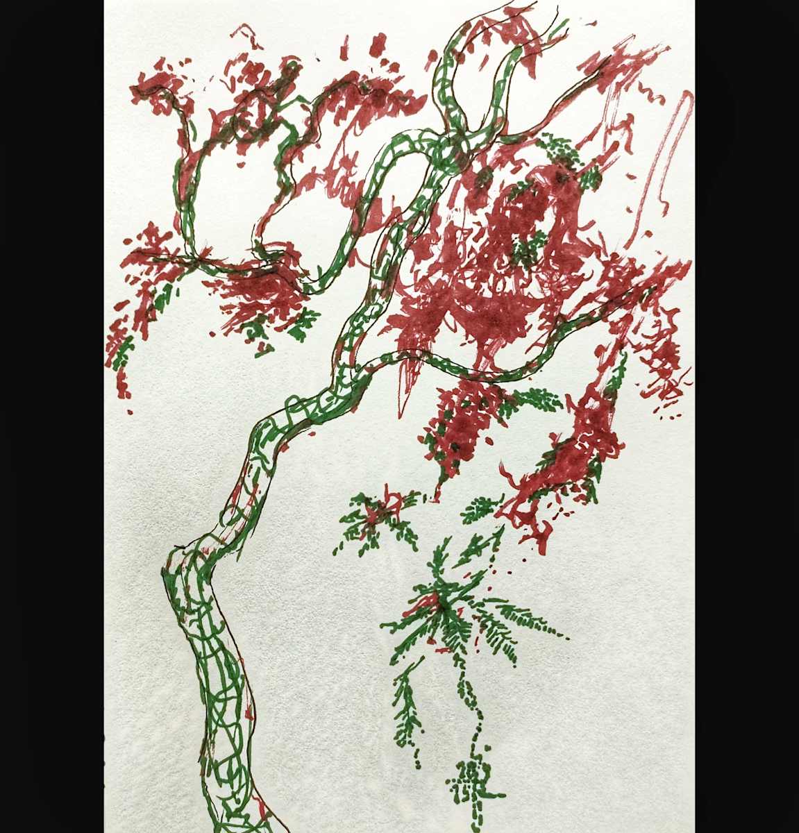 Aura of the Poinciana by Abdelrahman Fayed, Image 1.