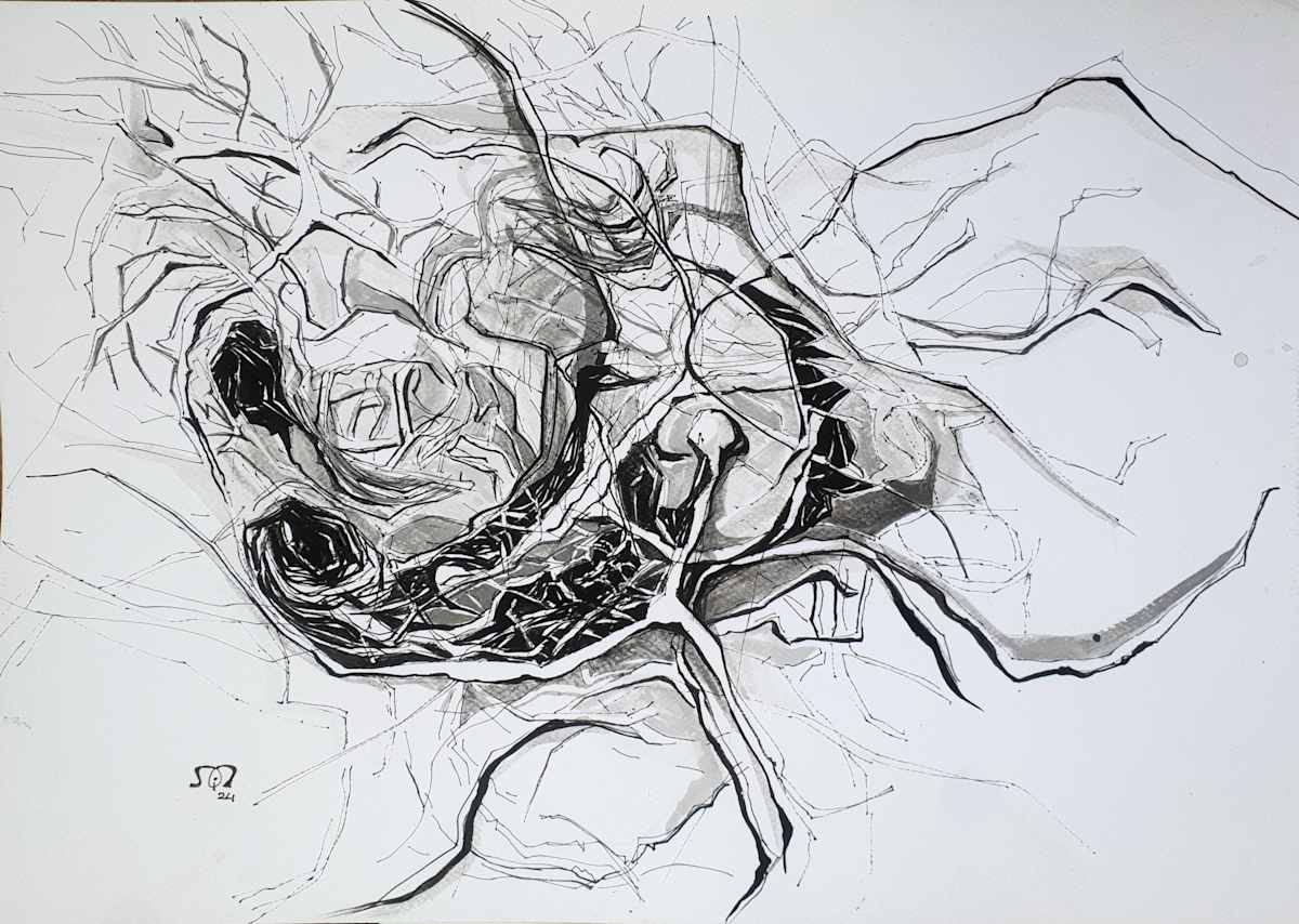 Tumbleweed Impulse I by Azza Ezzat, Image 1.