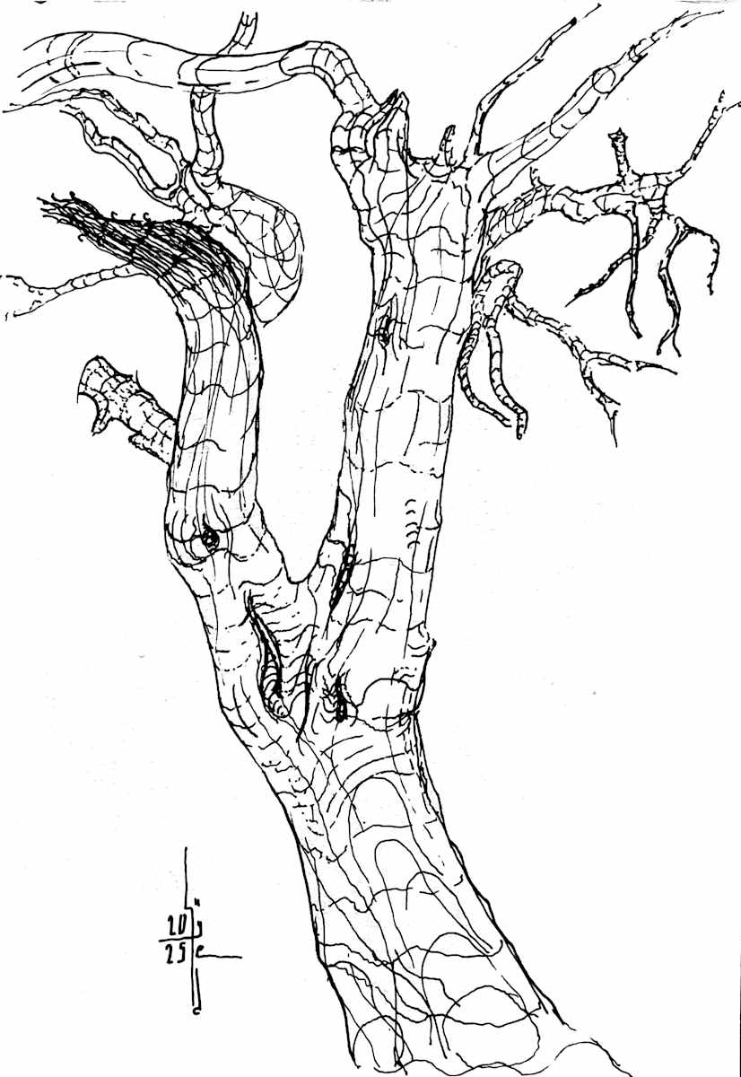 Linear Study of a Tree by Abdelrahman Fayed, Image 1.
