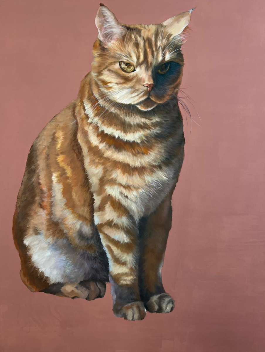 Cats Language 3 by Yumna Yakout 