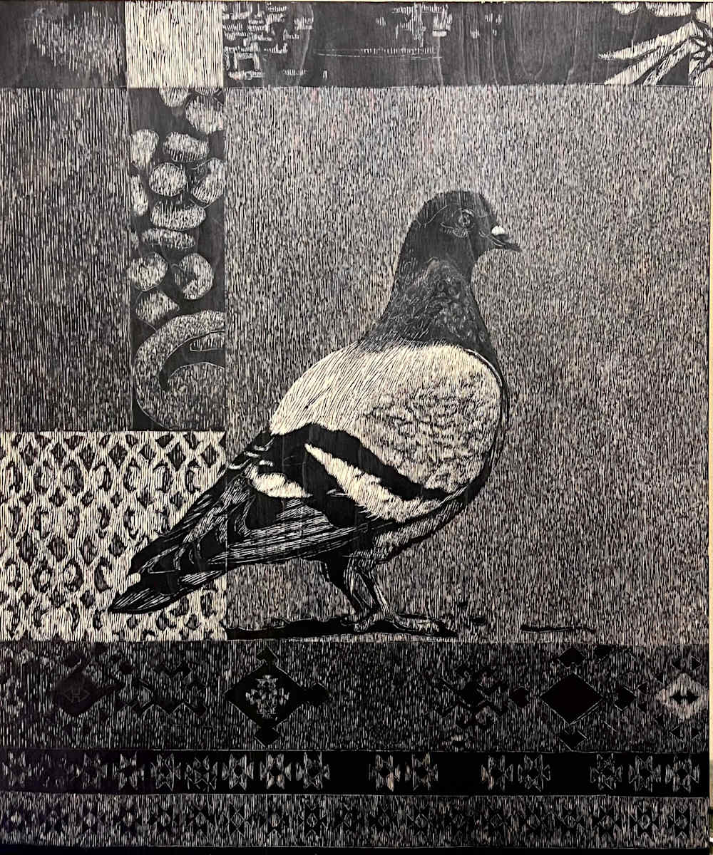 Pigeon 1 by Muhamed Rahem 