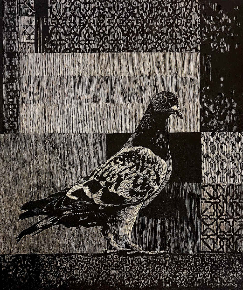 Pigeon 2 (2/4) by Muhamed Rahem, Image 1.