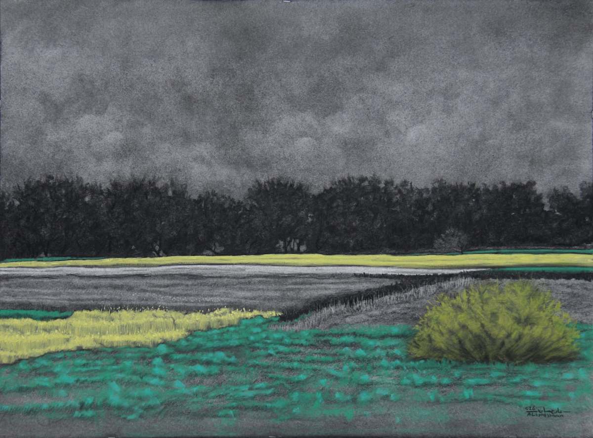 Fields of Madamoud I by Ali Hassaan, Image 1.