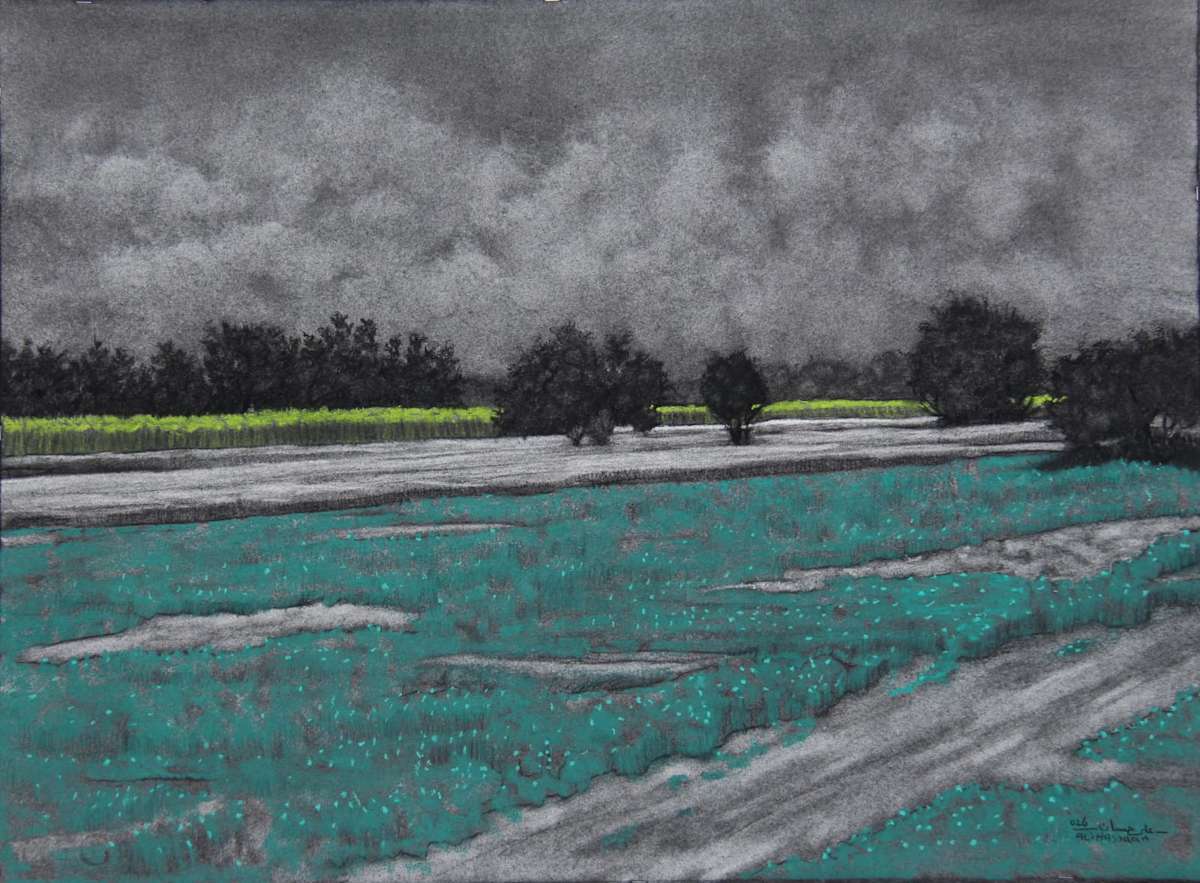 Fields of Madamoud II by Ali Hassaan, Image 1.