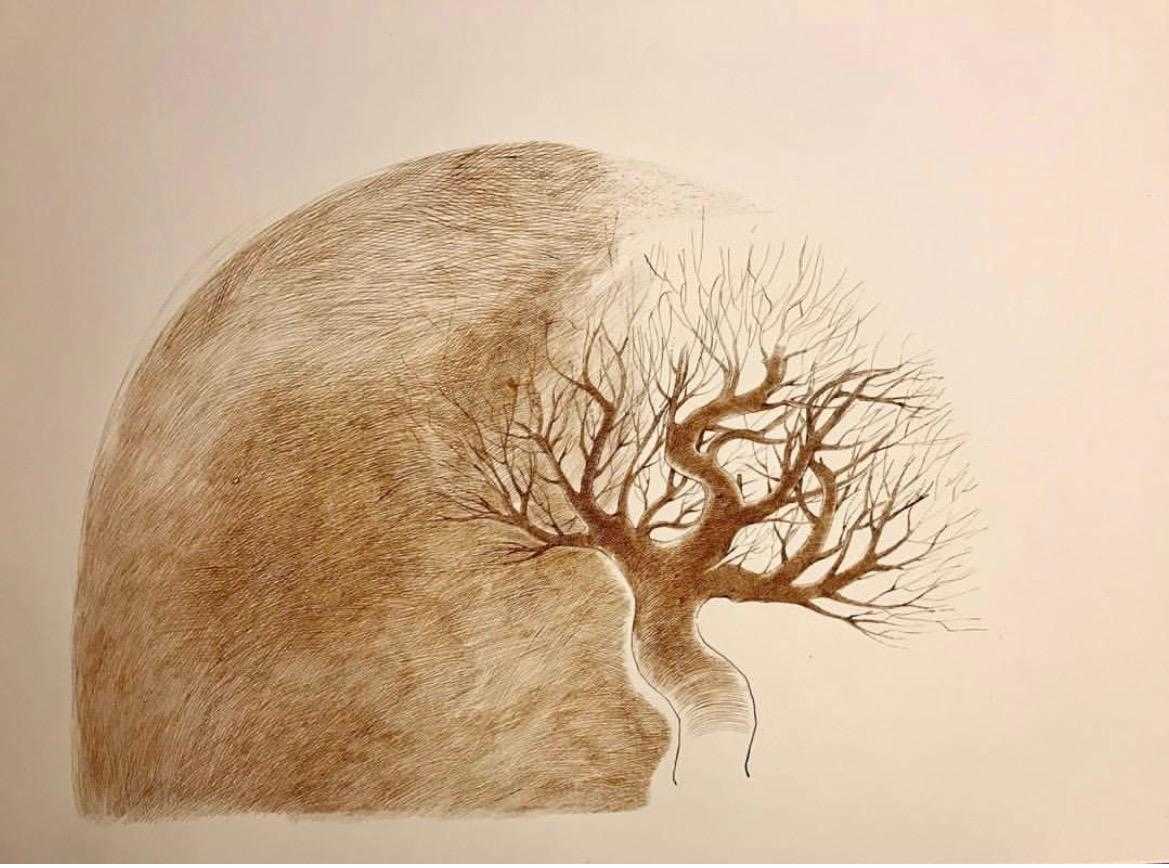 Untitled by Salah El-Meligy, Image 1.