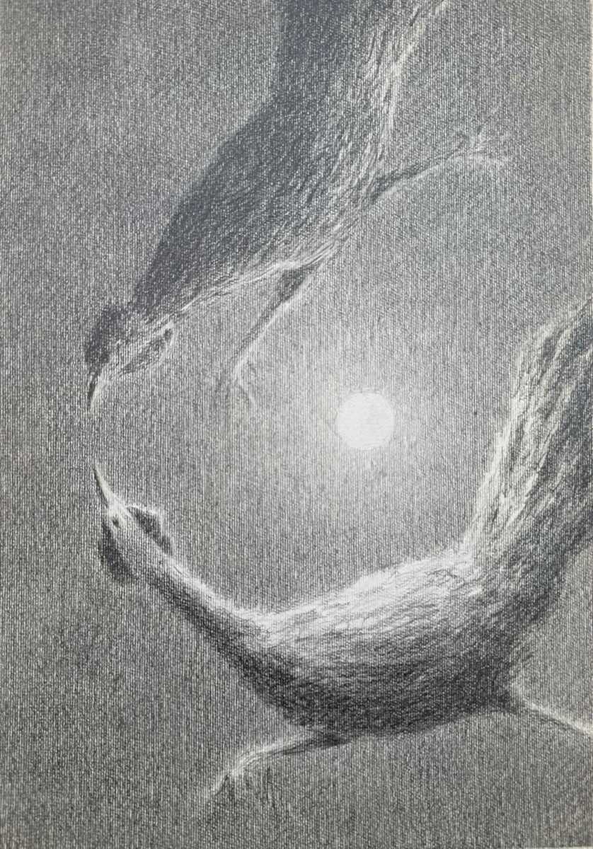Untitled_MR14 by Mahmoud Ragab, Image 1.
